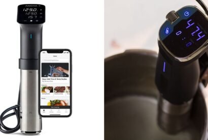 Thumbnail for 4 Best Sous Vide Cookers of 2023, According to Experts