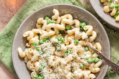 Thumbnail for Creamy Cavatappi Recipe