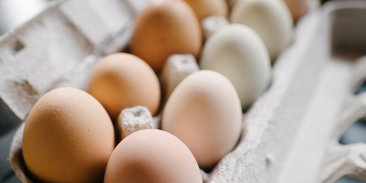 How To Tell If An Egg Is Good To Eat — Do Eggs Go Bad?